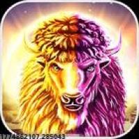 活跃的社区互动